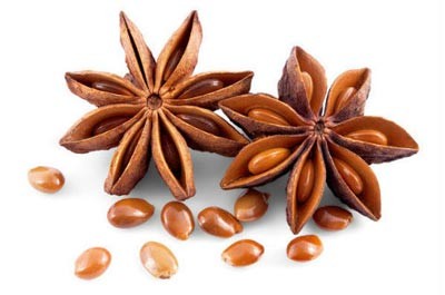 Aroma de Anís Badiana