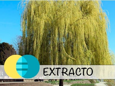 Extracto líquido de Sauce BIO - Hidroglicerinado.