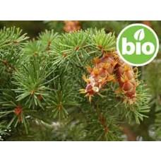 Aceite Esencial de Pino Douglas BIO (Abeto Douglas)