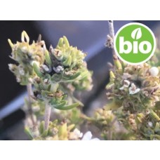 Aceite Esencial de Tomillo Verbena BIO - Qt. Linalol