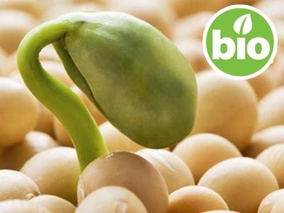 Lisolecitina de Soja líquida no OGM - Ecocert
