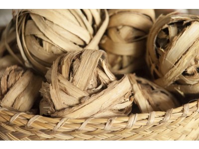 Aceite Esencial de Katafray BIO - Silvestre