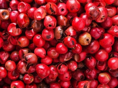 Aceite Esencial de Pimienta Rosa (Molle)