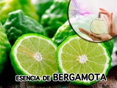 Natural Idéntico de Bergamota