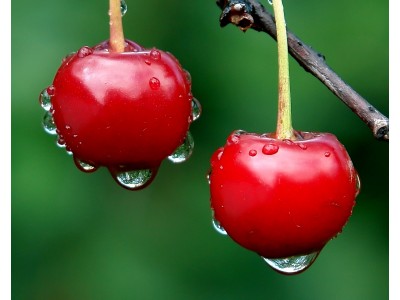 Fragancia de Cereza