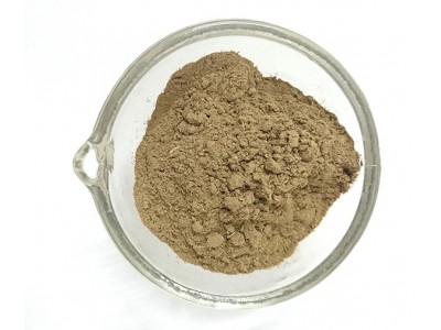 Tulsi en polvo
