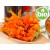 Aceite de Caléndula BIO en Oliva BIO